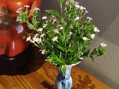 -江南雅厨(李公堤店)