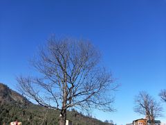 -硗碛藏寨·神木垒景区