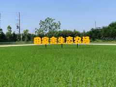 -迪茵湖田家舍生态农场
