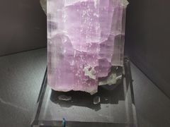 -湖南省地质博物馆