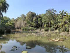 -中国科学院西双版纳热带植物园