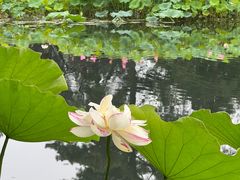 -凡老头米线砂锅(古荡新村西粮站)