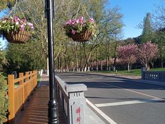-棒棰岛宾馆景区