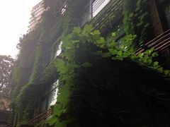 -上海艾本精品酒店
