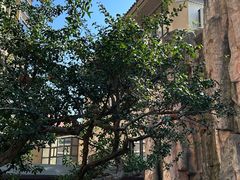 -忆江南·临江鱼馆