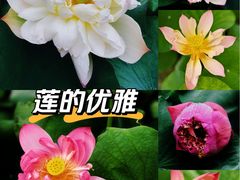 -云溪植物园