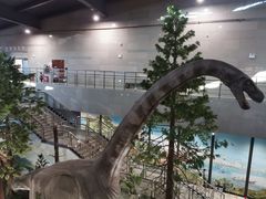 -湖南省地质博物馆