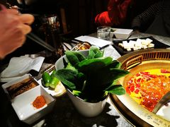 -麻路成都火锅(柏威年店)