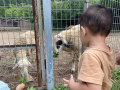 -北京山里寒舍度假酒店