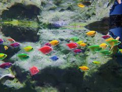 -苏州海洋馆