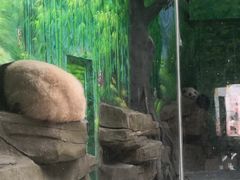 -灵玲国际马戏城