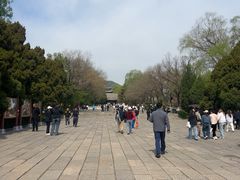 -晋祠公园