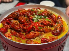 -鼎原力量东北吊炉烧烤(幸福街店)
