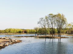 -大兴滨河森林公园