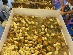 -北京华联购物中心(天通苑店)