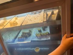 -比格比萨自助(万柳华联店)