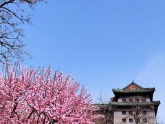-北京明城墙遗址公园