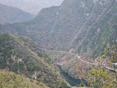 -黑河国家森林公园