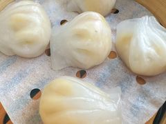 -五条人糖水铺(兰州老街店)