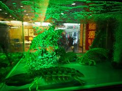 -焕记海鲜饭店