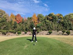 -金鸡湖高尔夫会员专属俱乐部