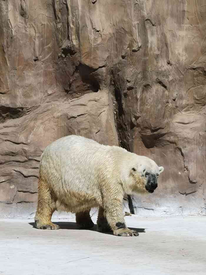 北京動物園-