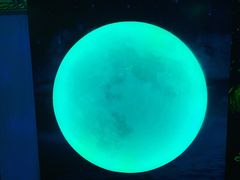 -天津梵高星空艺术馆(天河城旗舰店)