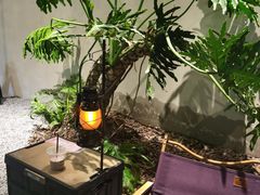 -J Create城市露营咖啡·简餐·宠物(上海动物园店)