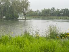 -东郊湿地公园