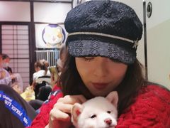 -逗柴咖啡屋·狗咖猫咖宠物桌游