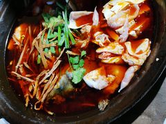 -肥鱼屯活鱼锅(惠工街店)