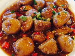 芋儿-听香·678茶铺(猛追湾店)