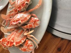 -常来老白莲鹅饭店(老城店)