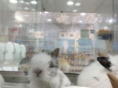 -宝鸡东道花鸟鱼虫市场(吉利花园商场店)