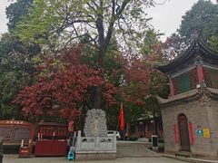 -兴教寺