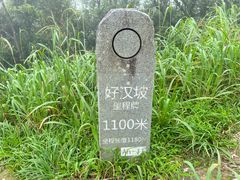 -梧桐山风景名胜区