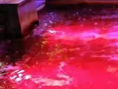 -天津瀚金佰九号温泉酒店(南楼地铁站店)