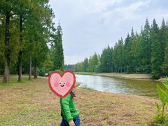 -黄海国家森林公园