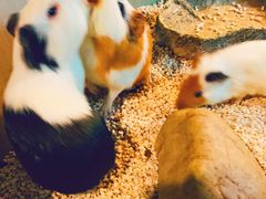 -常州海昌海洋探索馆