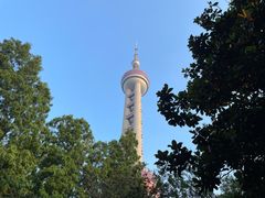 -东方明珠广播电视塔