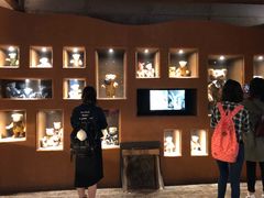 -济州岛泰迪熊博物馆