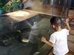 -成都浩海立方海洋公园