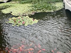 -大连植物园