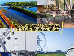 -呼兰河口湿地公园