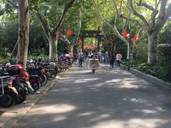 -杭州黄龙洞