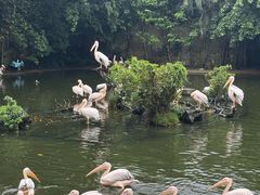 -广州长隆飞鸟乐园