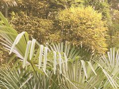 -东山风景区(洞庭东山)