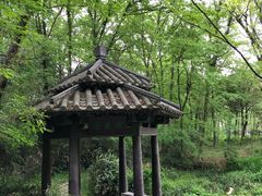 -玉女潭景区