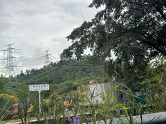 -华庭食府(光明店)