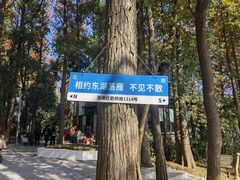 -东湖落雁景区